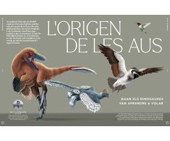 ORYX, LA REVISTA DE L\'AMANT DE LA NATURA. NÚMERO 04. Versió impresa en català. 2