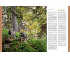 ORYX, LA REVISTA DE L\'AMANT DE LA NATURA. NÚMERO 04. Versió impresa en català. 3