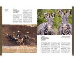 ORYX, LA REVISTA DE L\'AMANT DE LA NATURA. NÚMERO 04. Versió impresa en català. 4