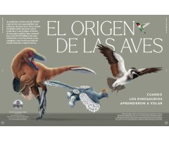 ORYX, LA REVISTA DEL AMANTE DE LA NATURALEZA. NÚMERO 04. Versión impresa en castellano. 2