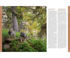 ORYX, LA REVISTA DEL AMANTE DE LA NATURALEZA. NÚMERO 04. Versión impresa en castellano. 3