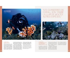 ORYX, LA REVISTA DE L\'AMANT DE LA NATURA. NÚMERO 05. Versió impresa en català. 4