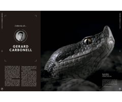 ORYX, LA REVISTA DE L\'AMANT DE LA NATURA. NÚMERO 05. Versió impresa en català. 5