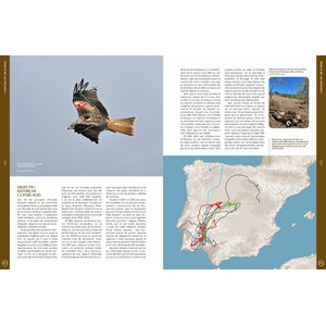 ORYX, LA REVISTA DE L'AMANT DE LA NATURA. NÚMERO 07. VERSIÓ IMPRESA EN CATALÀ. 5