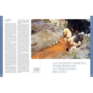 ORYX, LA REVISTA DE L'AMANT DE LA NATURA. NÚMERO 08. VERSIÓ IMPRESA EN CATALÀ. 3