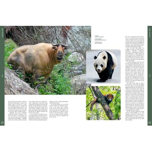 ORYX, LA REVISTA DE L'AMANT DE LA NATURA. NÚMERO 08. VERSIÓ IMPRESA EN CATALÀ. 4