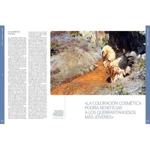 ORYX, LA REVISTA DEL AMANTE DE LA NATURALEZA. NÚMERO 08. VERSIÓN IMPRESA EN CASTELLANO. 3