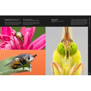 ORYX, LA REVISTA DEL AMANTE DE LA NATURALEZA. NÚMERO 08. VERSIÓN IMPRESA EN CASTELLANO. 6