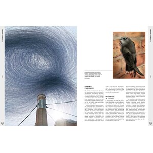 ORYX, LA REVISTA DE L'AMANT DE LA NATURA. NÚMERO 09. VERSIÓ IMPRESA EN CATALÀ. 3