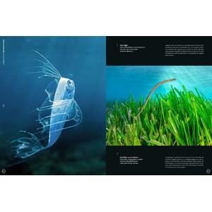 ORYX, LA REVISTA DE L'AMANT DE LA NATURA. NÚMERO 09. VERSIÓ IMPRESA EN CATALÀ. 6