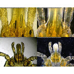 DINO-LITE ILUMINADOR BL-CDW_1
