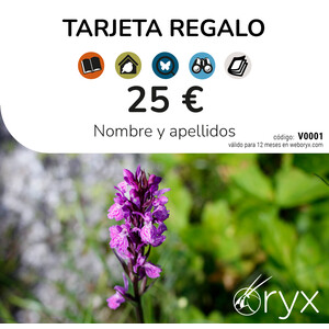 TARJETA REGALO 25   / TARGETA REGAL / GIFT CARD_1