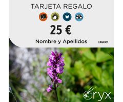TARJETA REGALO 25 ¤ / TARGETA REGAL / GIFT CARD