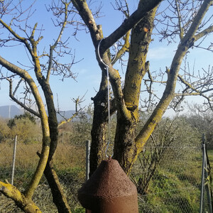 GANCHO DE ACERO CINCADO PARA COLGAR CAJAS NIDO Y COMEDEROS 3