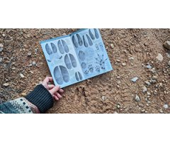 TRACKS & SIGNS
