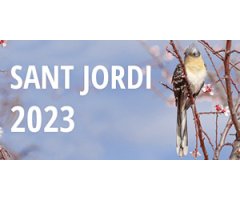 SANT JORDI 2023