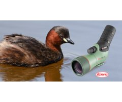 KOWA TSN-55 PROMINAR